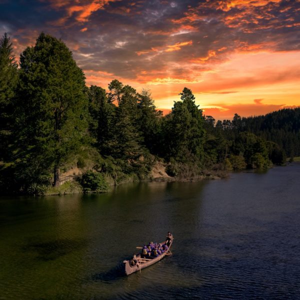 Waimarino Kayak Tours | Big Kanu Glowworm Tour | Tauranga | NZ