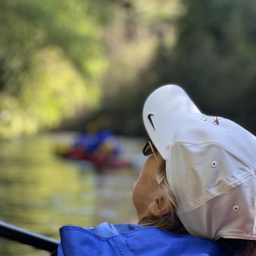 Wairoa River Tour | Waimarino Kayak Tours recent (11)