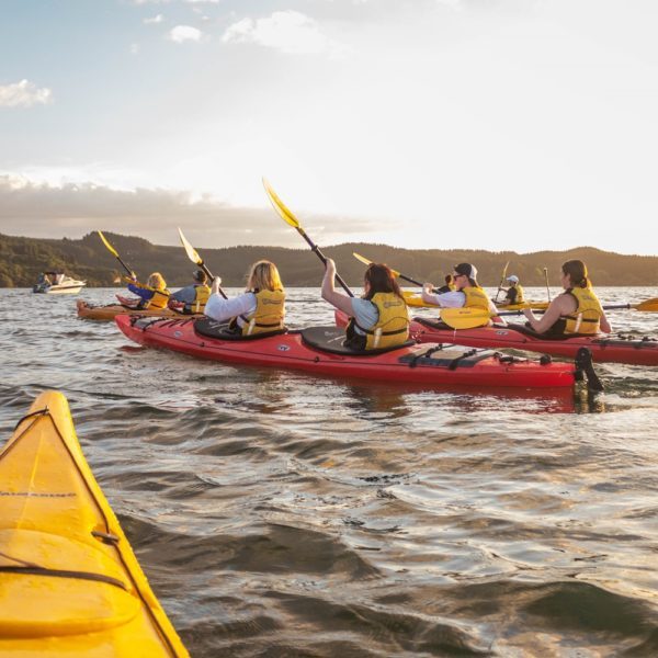 Starlight Gourmet Kayak Tour| | Waimarino Kayak Tours | Rotorua