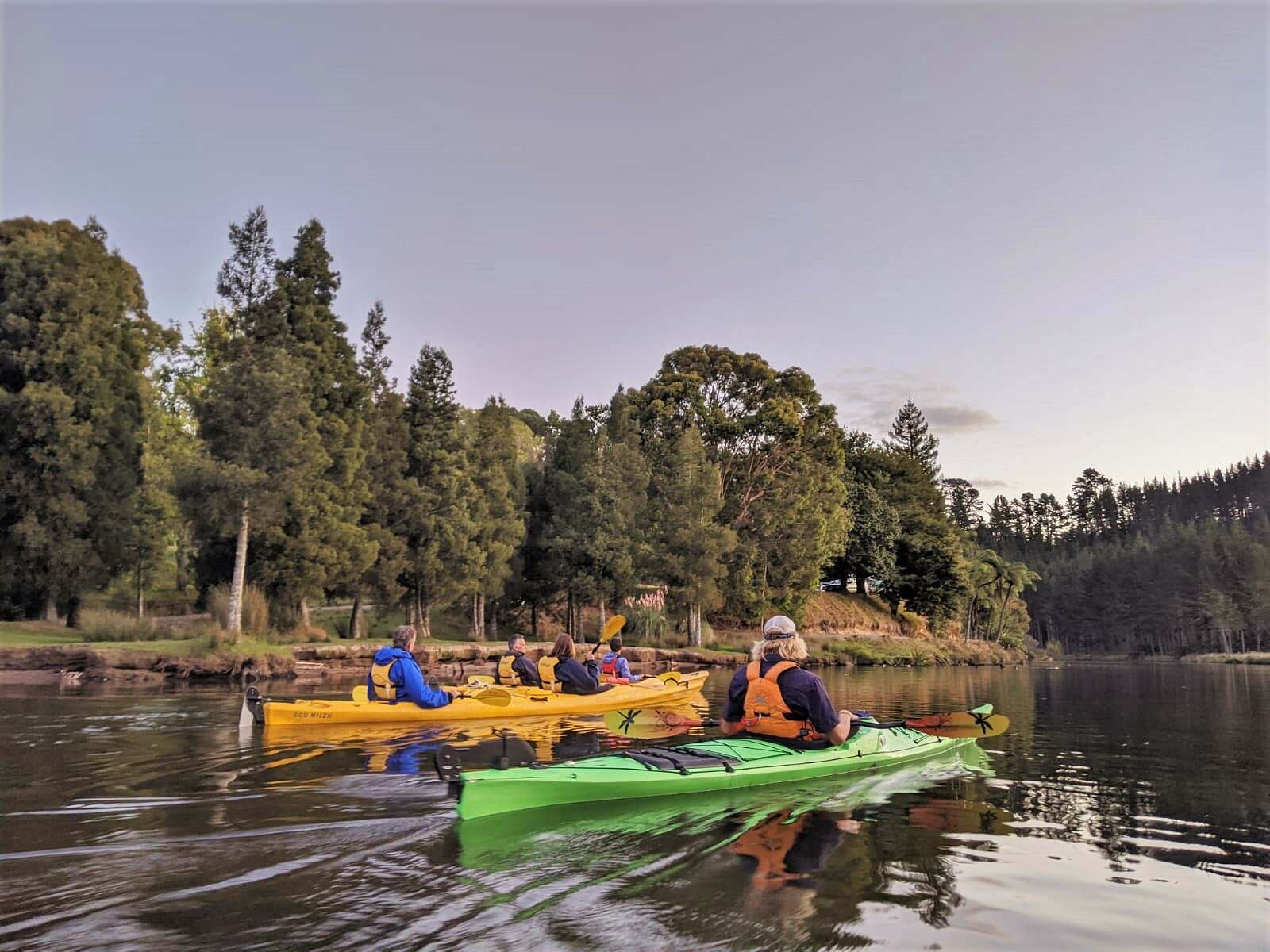 Evening Glowworm Kayak Tour Tauranga