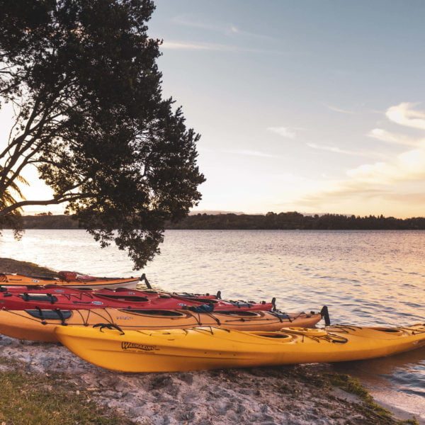 Tauranga,Rotorua,Scenic,Glowworm Kayak Tours