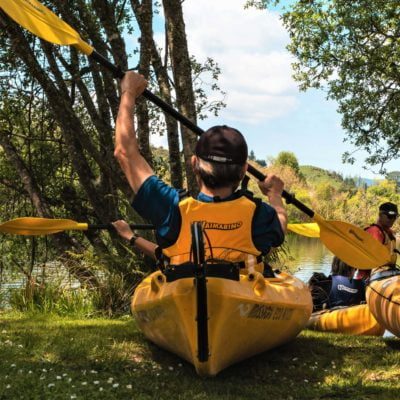 Wairoa River,Waimarino Kayak Tours