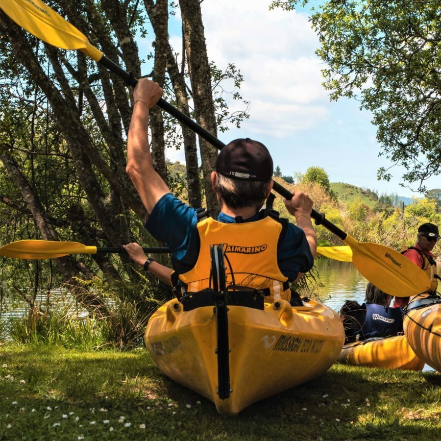 Wairoa River Tour | Waimarino Kayak Tours Wairoa River Tour | Waimarino Kayak Tours