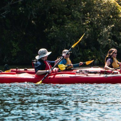 Waimarino Kayak Tours