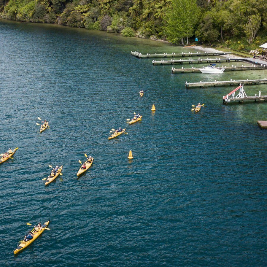 Waimarino 2018 (78 of 84) Waimarino 2018 (78 of 84)
