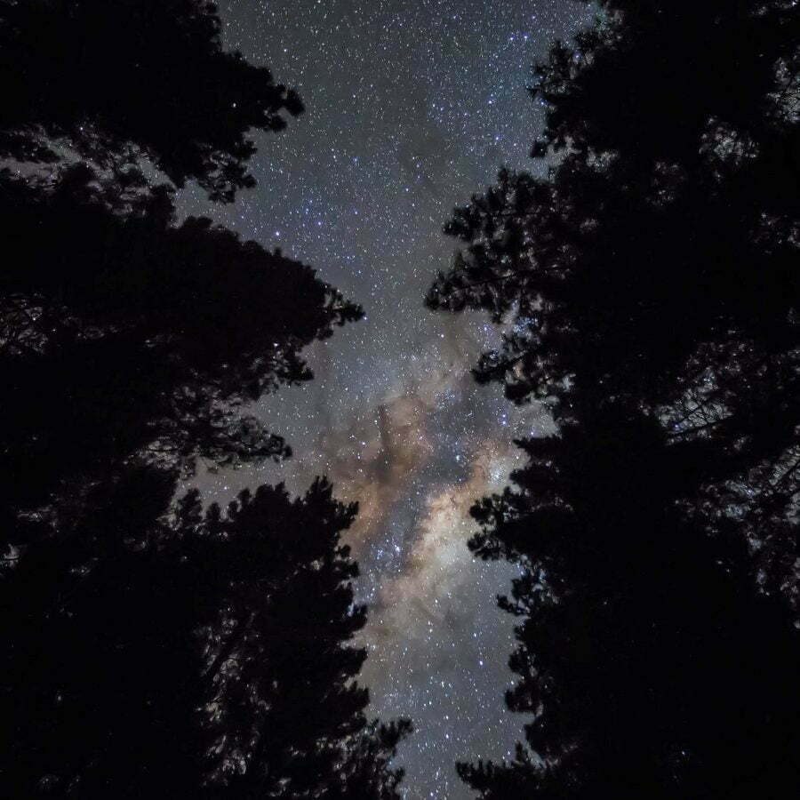 Starlight/Gourmet Kayak Tour Rotorua