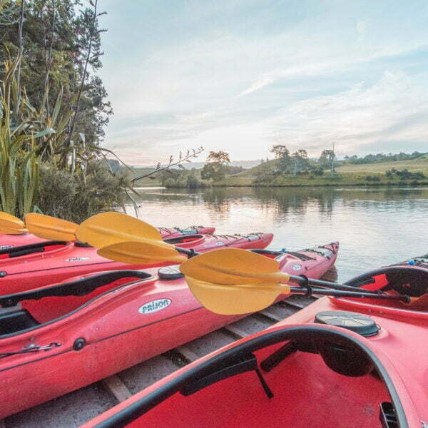 Waimarino Kayak Tours | Evening Glowworm Kayak Tour | Tauranga | NZ