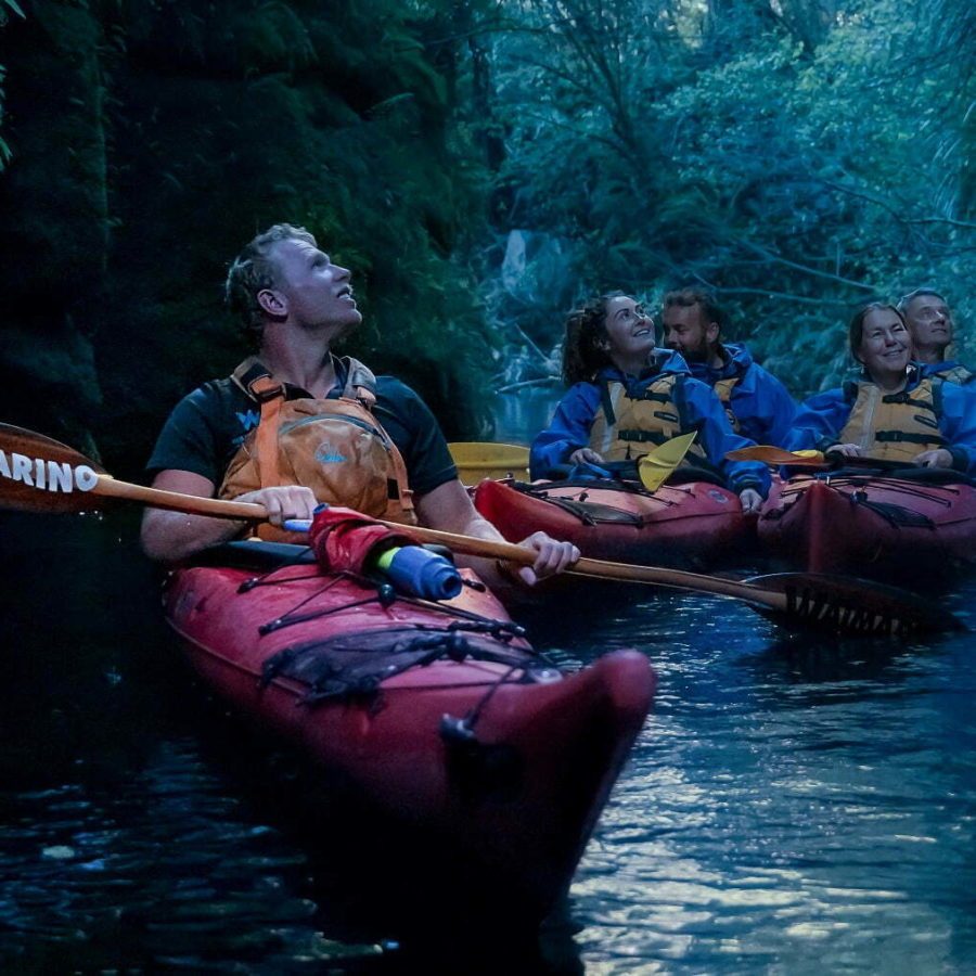 Evening Glowworm Kayak Tour Tauranga
