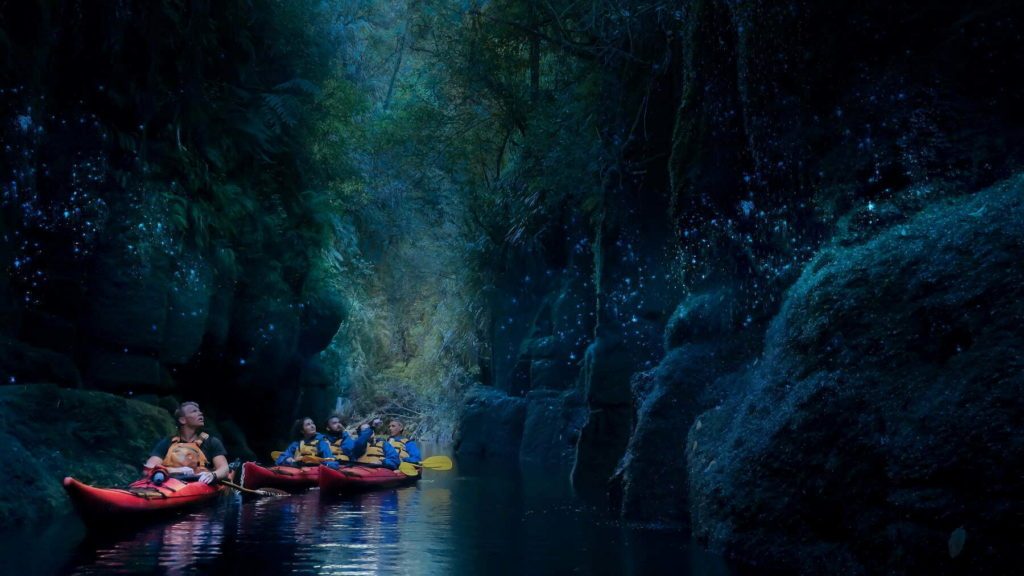 Evening Glowworm Kayak Tour,Waimarino Kayak Tours