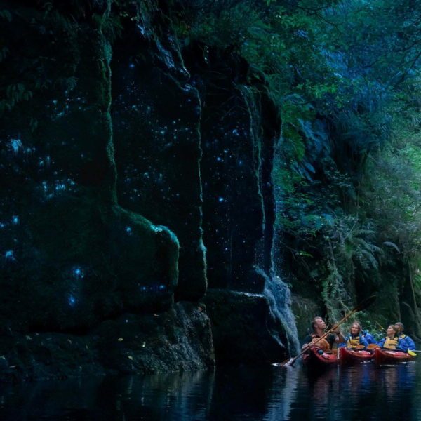 Tauranga,Rotorua,Scenic,Glowworm Kayak Tours