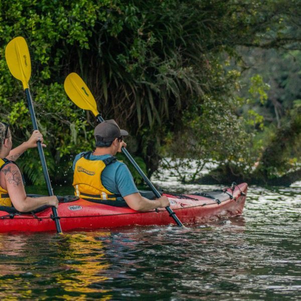 Tauranga,Rotorua,Scenic,Glowworm Kayak Tours