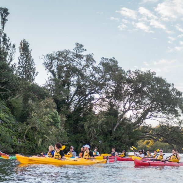 Tauranga,Rotorua,Scenic,Glowworm Kayak Tours