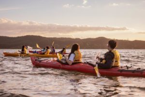 Lake Rotoiti,starlight,gourmet,kayak tour,glowworms