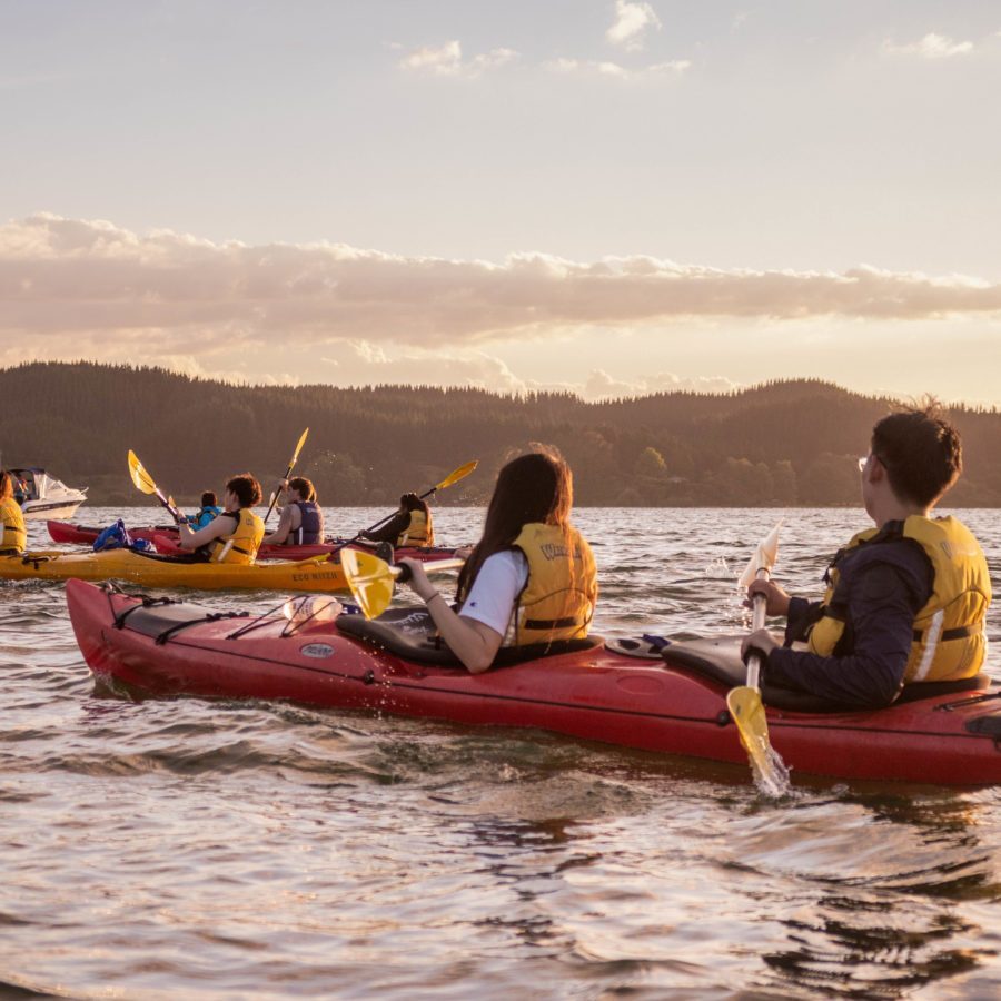 Starlight/Gourmet Kayak Tour Rotorua