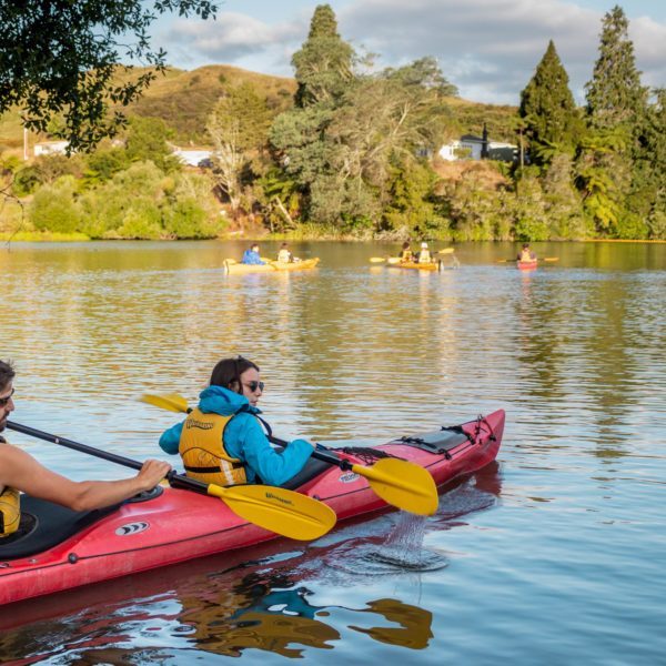 Tauranga,Rotorua,Scenic,Glowworm Kayak Tours
