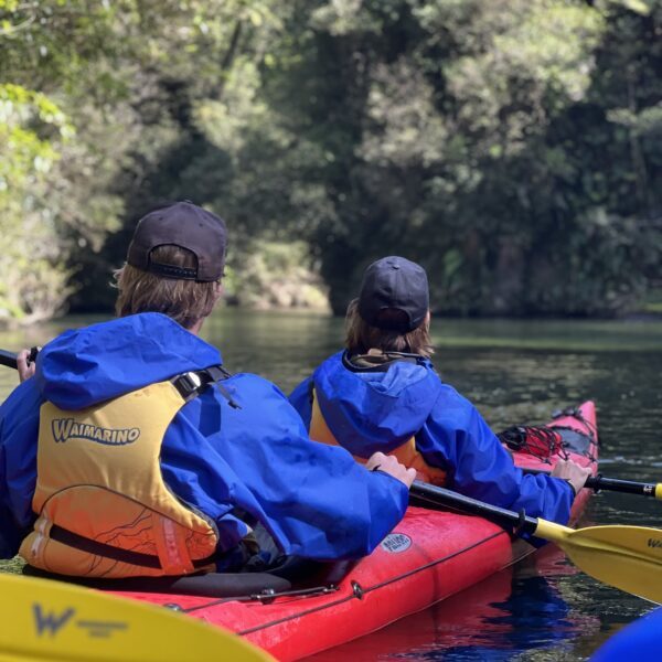 Wairoa River Tour | Waimarino Kayak Tours recent (13)