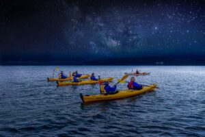 matariki,stargazing,tauranga
