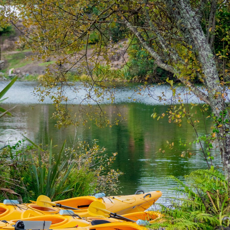 Wairoa River Tour | Waimarino Kayak Tours starlight gourmet 34
