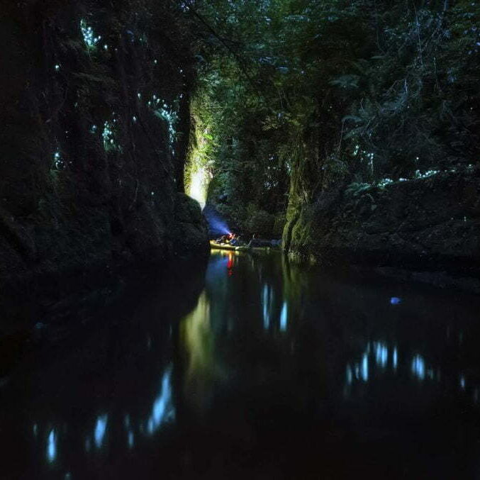 012-Glow-worms-mclaren-lake