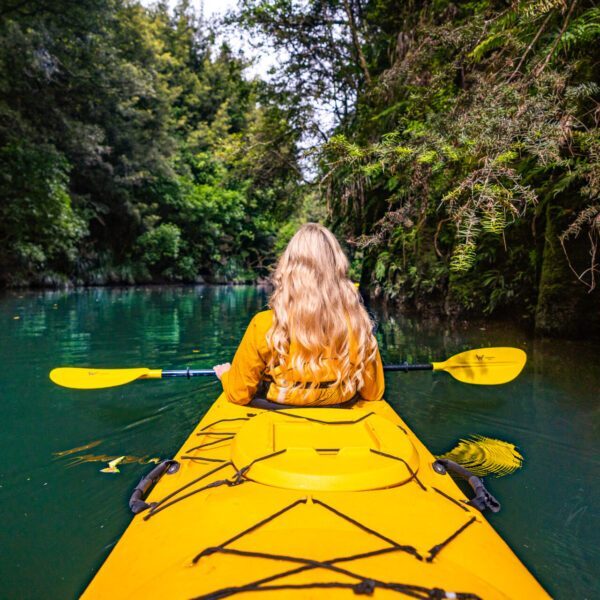lake mclaren kayak tour 1