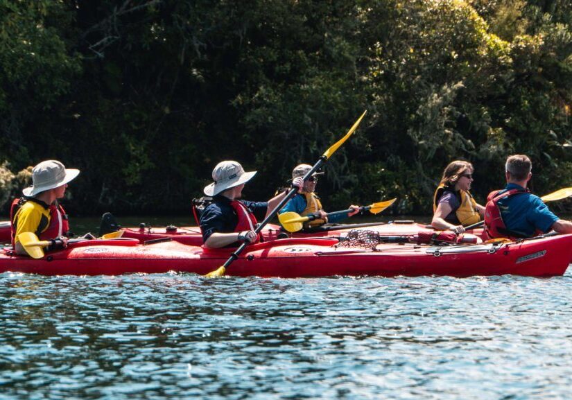 Wairoa River Tour | Waimarino Kayak Tours